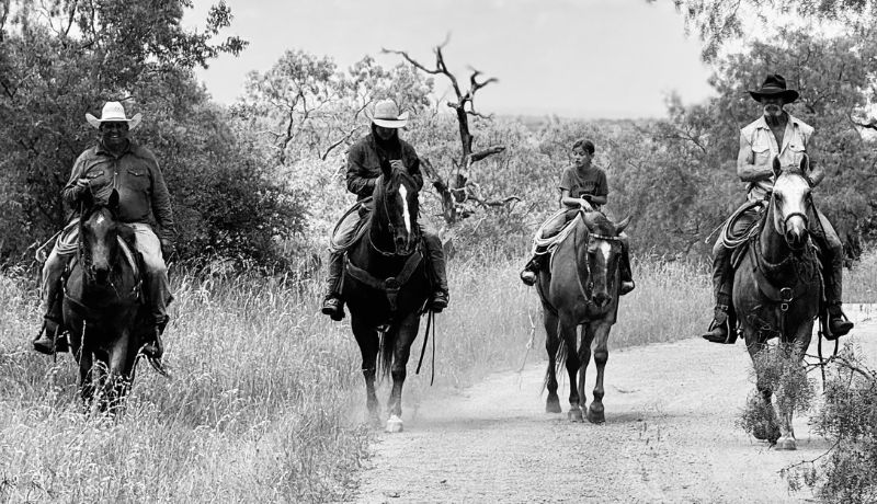 property management and livestock care in the Hill Country