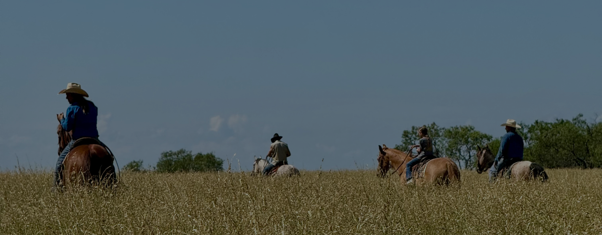 livestock management and support in the Hill Country