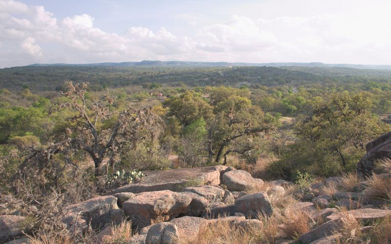 Hill Country brush clearing and cedar removal Blanco County