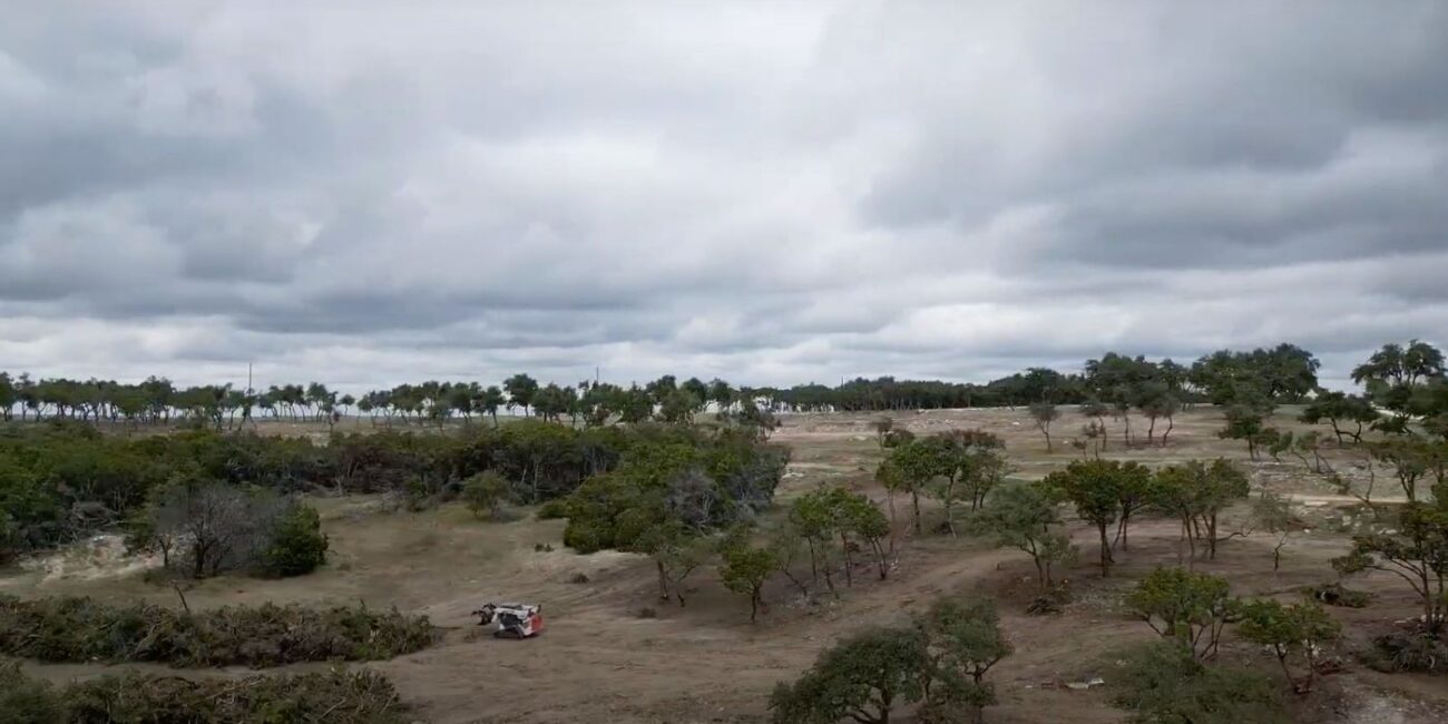 brush clearing services in the Texas Hill Country