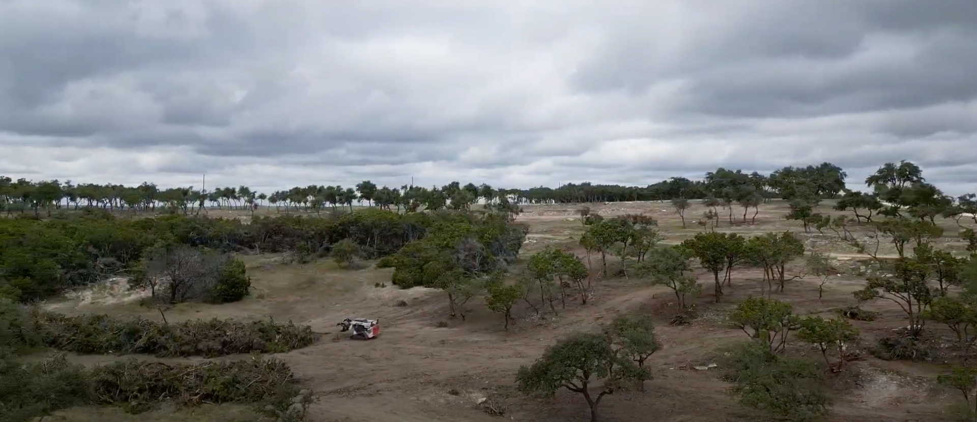 land clearing Texas Hill Country Cedar removal land management