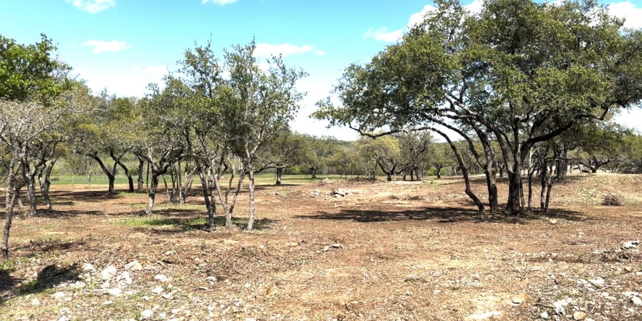 brush clearing texas land management hill country