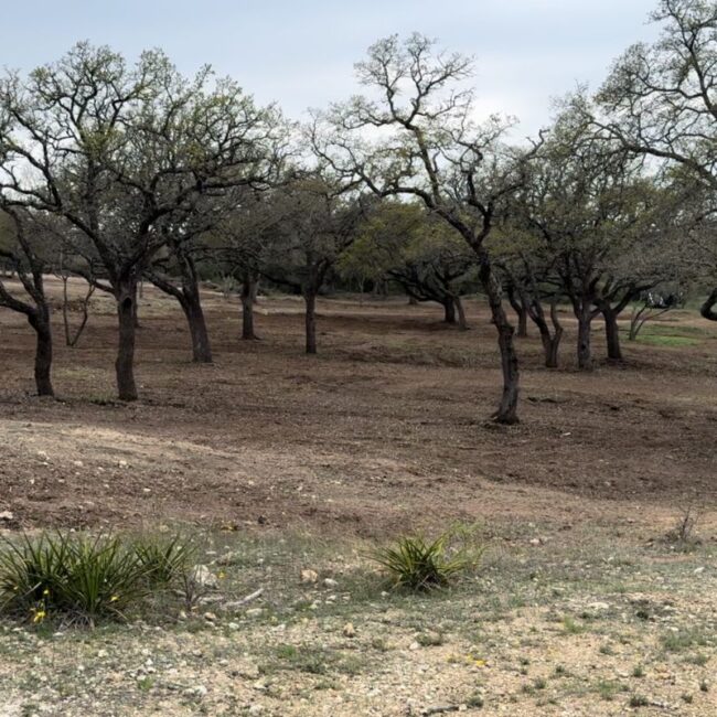 Land clearing services Bulverde Kerrville blanco Texas Hill Country