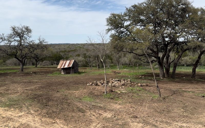 land clearing services blanco, tx hill country cedar removal