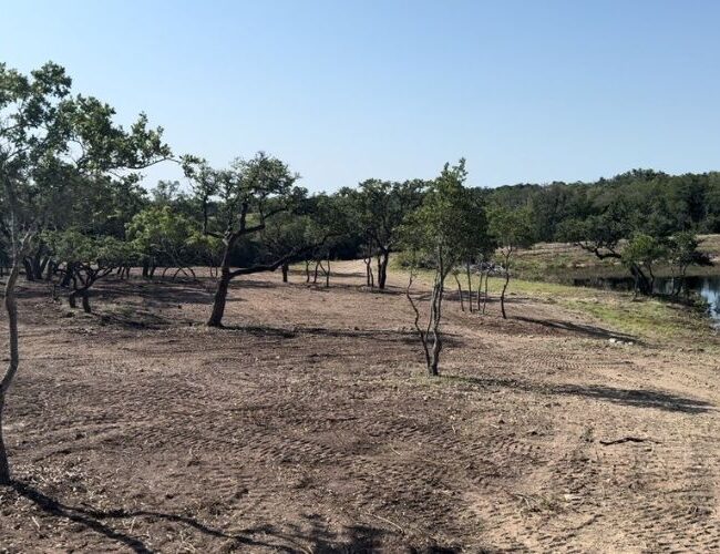 land clearing services blanco, tx hill country cedar removal