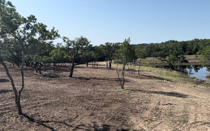 land clearing services blanco, tx hill country cedar removal