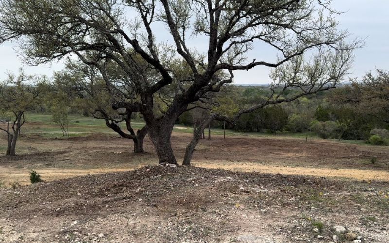 land clearing services blanco, tx hill country cedar removal